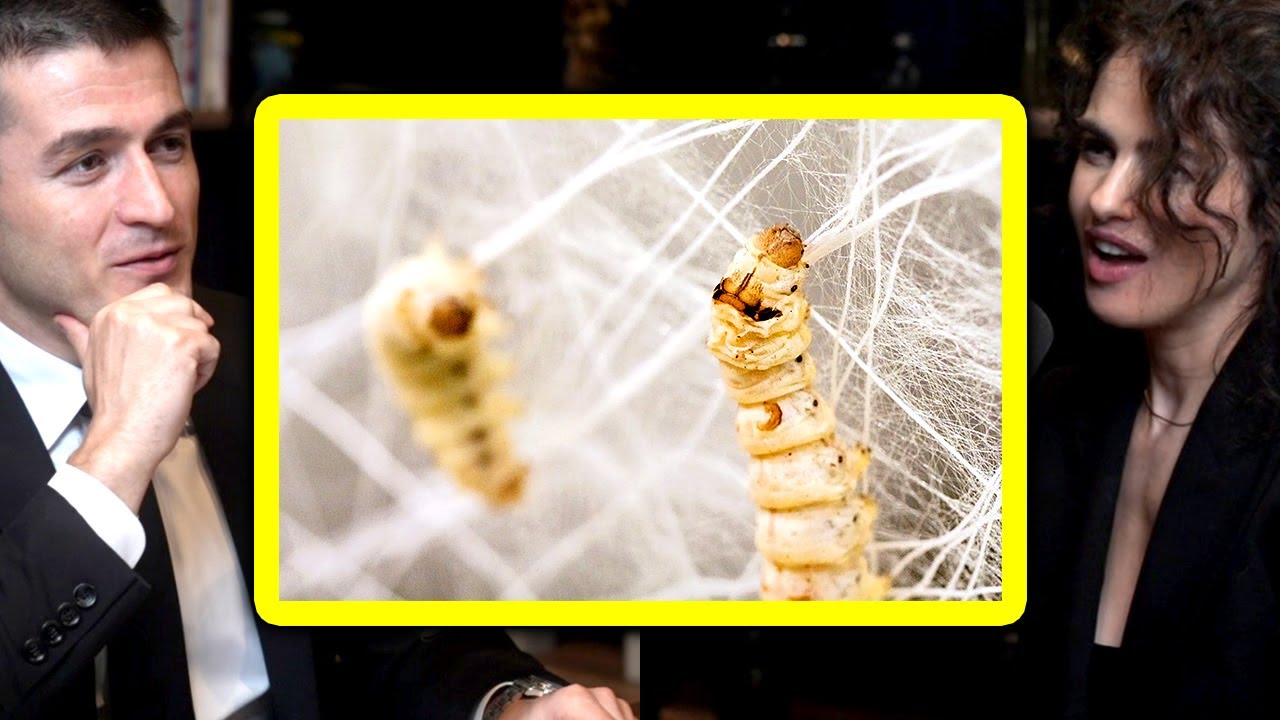 How 17,000 Silkworms Created a Stunning Structure
