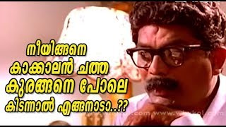 Download lagu Simhavalan Menon Malayalam Full Movie Comedy Movie... mp3