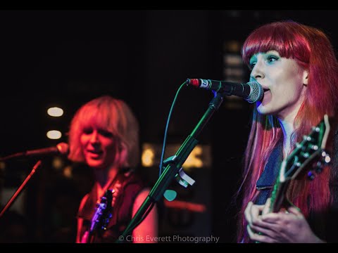 I Don't Know Birds That Well - Monalisa Twins