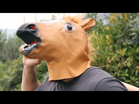 Pablo Kollner - A Palos