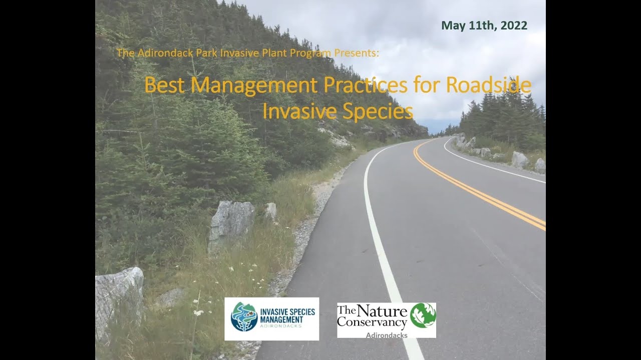 Best Management Practices for Roadside Invasive Species