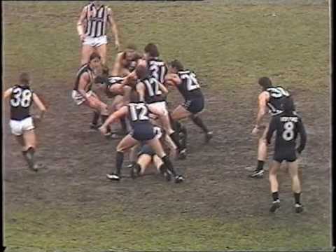 1988 Statewide League Grand Final