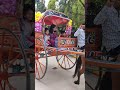 Horse Cart Riding In Bangalore Dheera Dheera KGF 2 Song Horseriding Horse Kgf