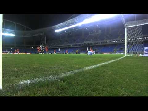 Melhores Momentos - Botafogo 3x0 Capivariano - Copa do Brasil