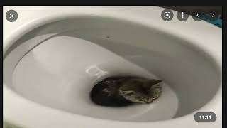 Cover art for Samuel plays piano