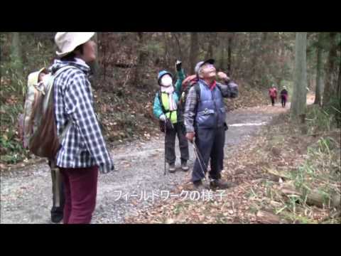 研究紹介(10)保全生態学～創造工学教育課程＠名古屋工業大学