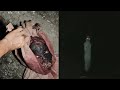 Merinding 10 Penampakan Terseram Dan Terjelas Gila Sih Ini Serem Banget Part 3
