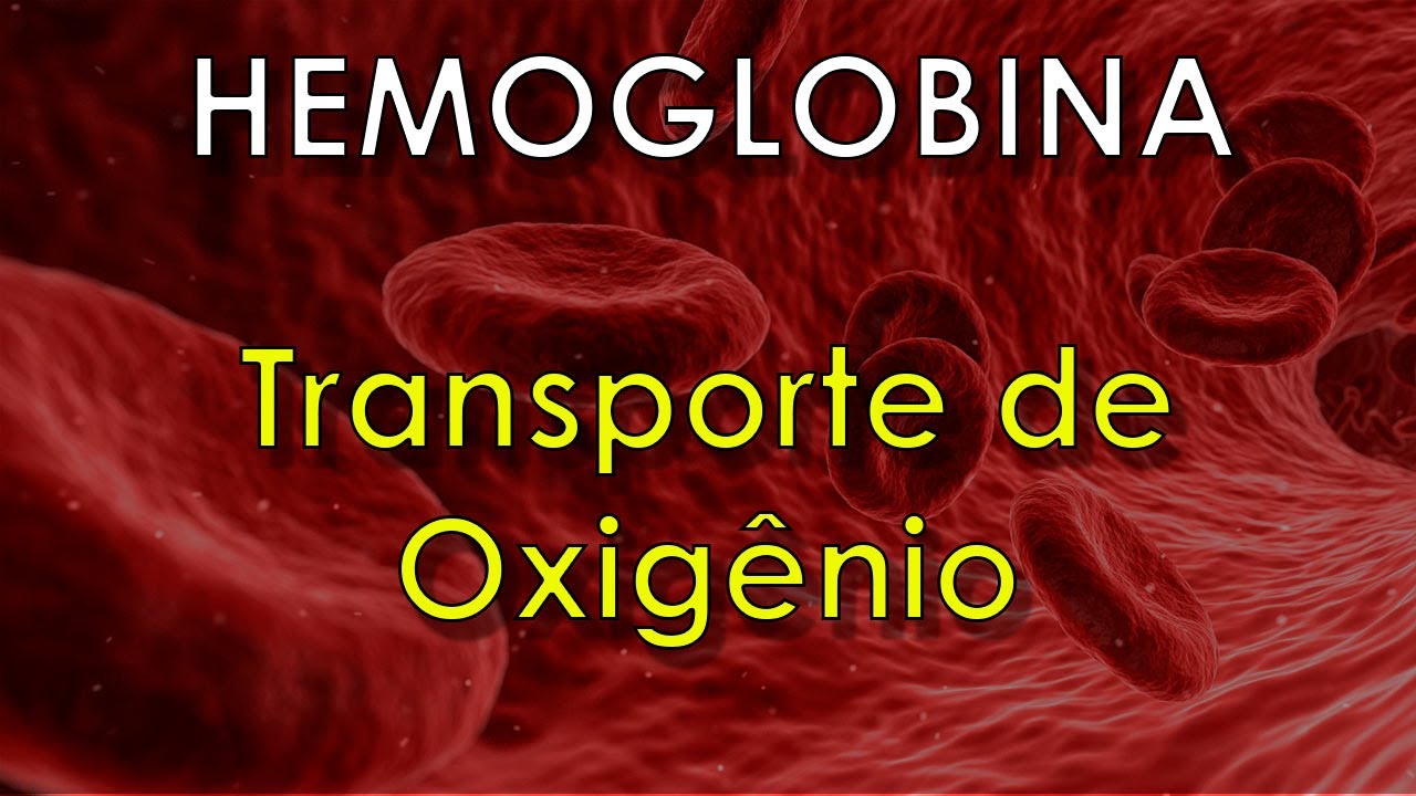 Como a HEMOGLOBINA transporta o oxigênio
