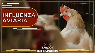 Miniatura do vídeo