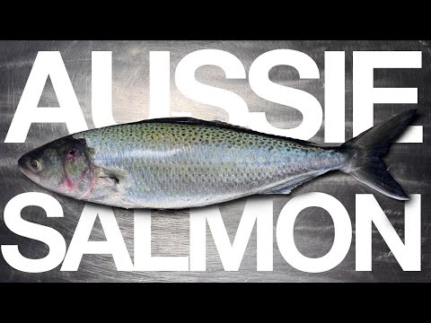 Cooking Australia’s Most Underrated Fish