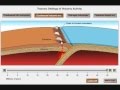 Volcanic Arcs and Subduction