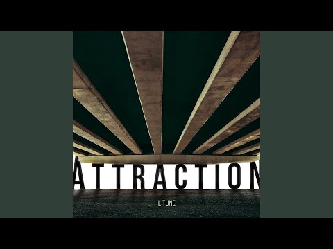 Attraction (Sanya Shelest Remix)