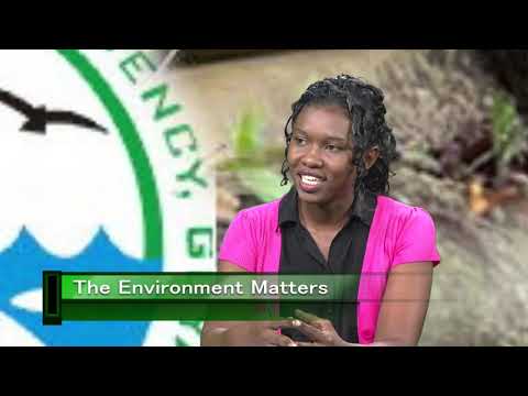 The Environment Matters December  2019