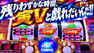 【ジャグラー】マイジャグが入れ替わる前に存分に寅Ⅴで勝ちたい。
