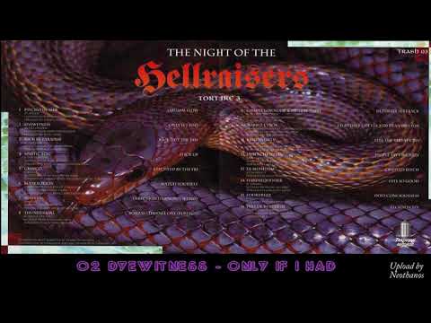 02 Dyewitness - Only If I Had