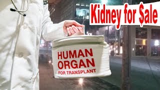 Kidney for Sale: The Black Market of Organs