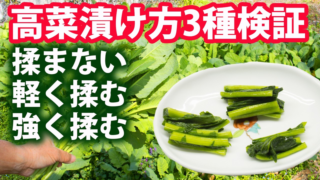 高菜浅漬けから古漬け揉む揉まないの疑問を検証