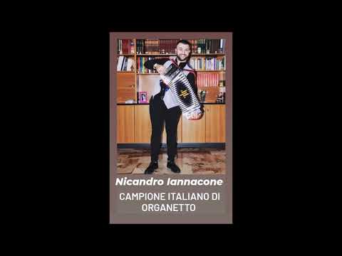 "MILLENIUM" (Nicandro Iannacone Campione Italiano di Organetto 2021)