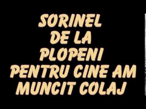 SORINEL DE LA PLOPENI    PENTRU CINE AM MUNCIT