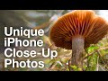 iPhone Close-Up Photography Secrets – iPhone Landscape Mastery