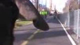 Bonzi's Bakfiets Ride