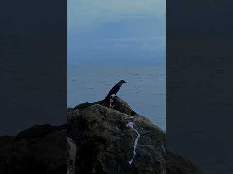 samundar ke lahar 😊