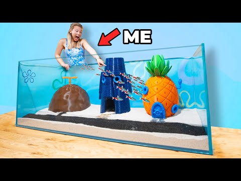 I Built Bikini Bottom in a Fish Tank
