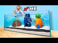 I Built Bikini Bottom In A Fish Tank