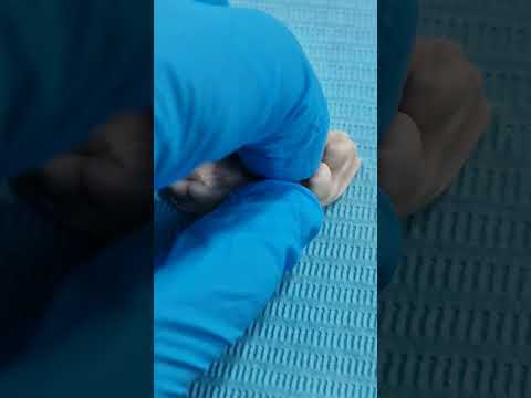 Sebastián Molina Rocha-7