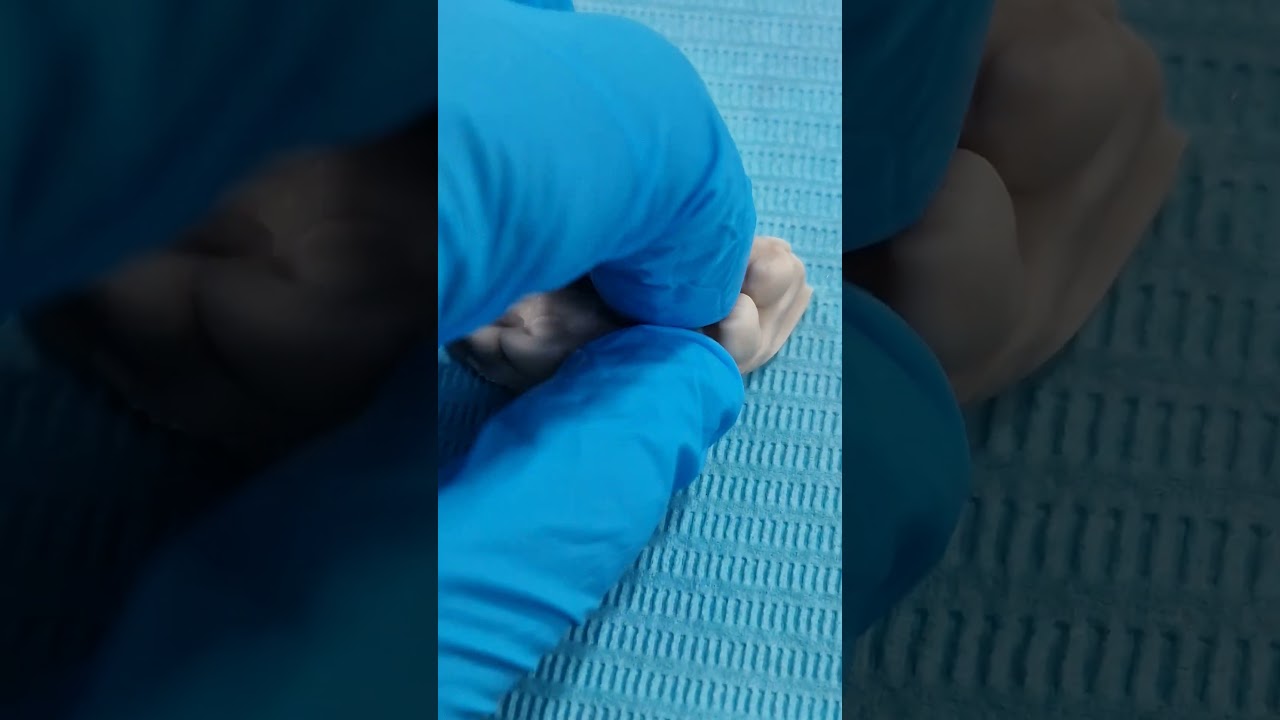 Sebastián Molina Rocha-7