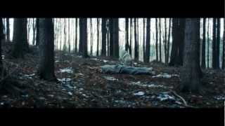 Video Perseus - Hraběnka Báthoryová (2012)