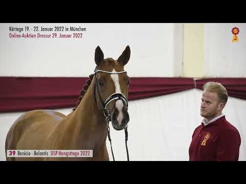 Lot 39: Hengst v. Benicio/Belantis I