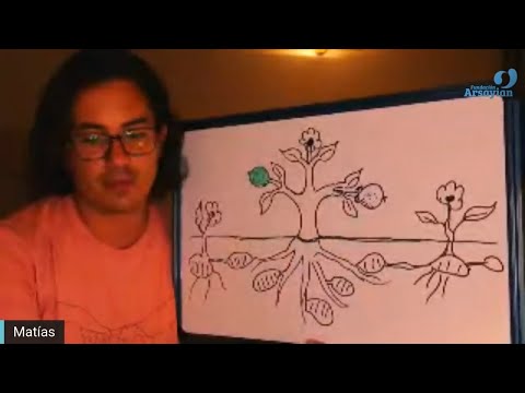 Day 348 Knees TUBERS - Matais De Stefano - English Edit