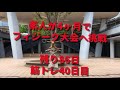 素人が4ヶ月でフィジーク大会へ挑戦!!