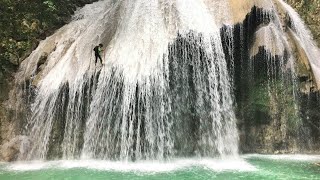 El Hongo Mágico – El Secreto Mejor Guardado de RD