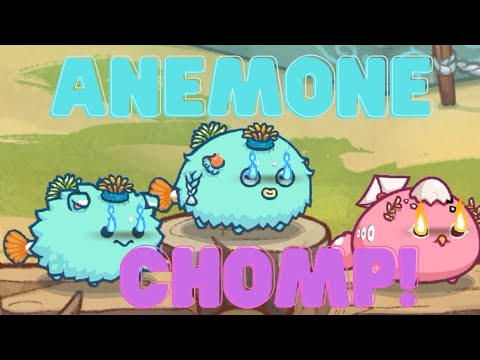 HIGH MMR NA THIS! Double Anemone CHOMP Harebird GAMEPLAY!