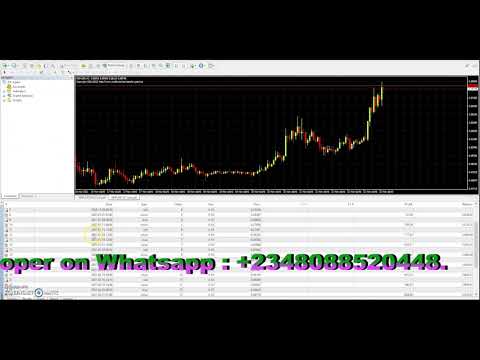 Video RippleBullRunWizard