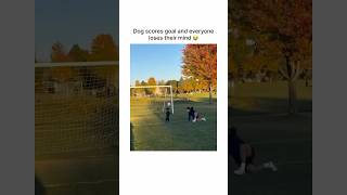 Dog scores goal 🤯🤯 #dogs #football