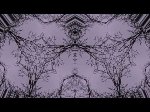 Cleaverhype - Cordial