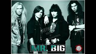 Mr. Big  - 16 -  Anything For You (Demo)