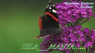 Download lagu Iis Sugiarti BAGAI CERMIN RETAK //Teks Lirik mp3