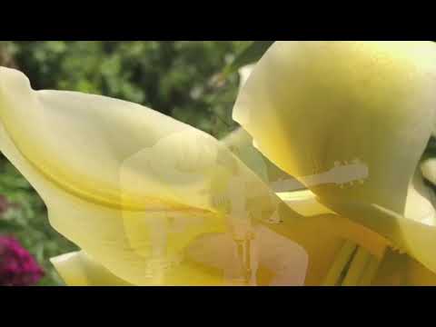 Thomas Horstmann / A Major Change(s)   HD 720p