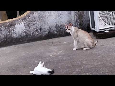 Yeah keep fighting😆