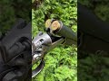 Antique Triple Barrel Hunting Gun Sauer Suhl Pt 2