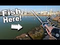 The BEST Fishing Spot in Port Aransas, Texas! (Jetty Fishing)