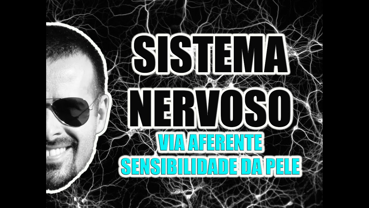 Sistema Nervoso - Via aferente e sensibilidade da pele - Anatomia Humana - VídeoAula 011