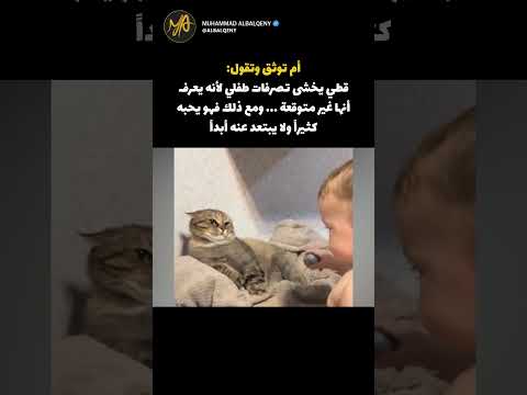 القط والطفل المشاغب #shorts