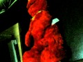 Elmo TMX Extra Special Edition Clue 1