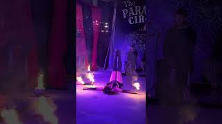 Clara Free Spirit