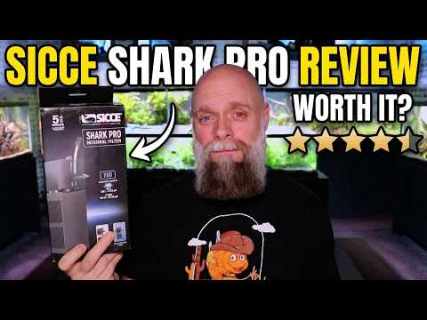 Did This Filter Just Take Over My Fish Room? Sicce Shark Pro Review